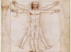 Vitruvian Man